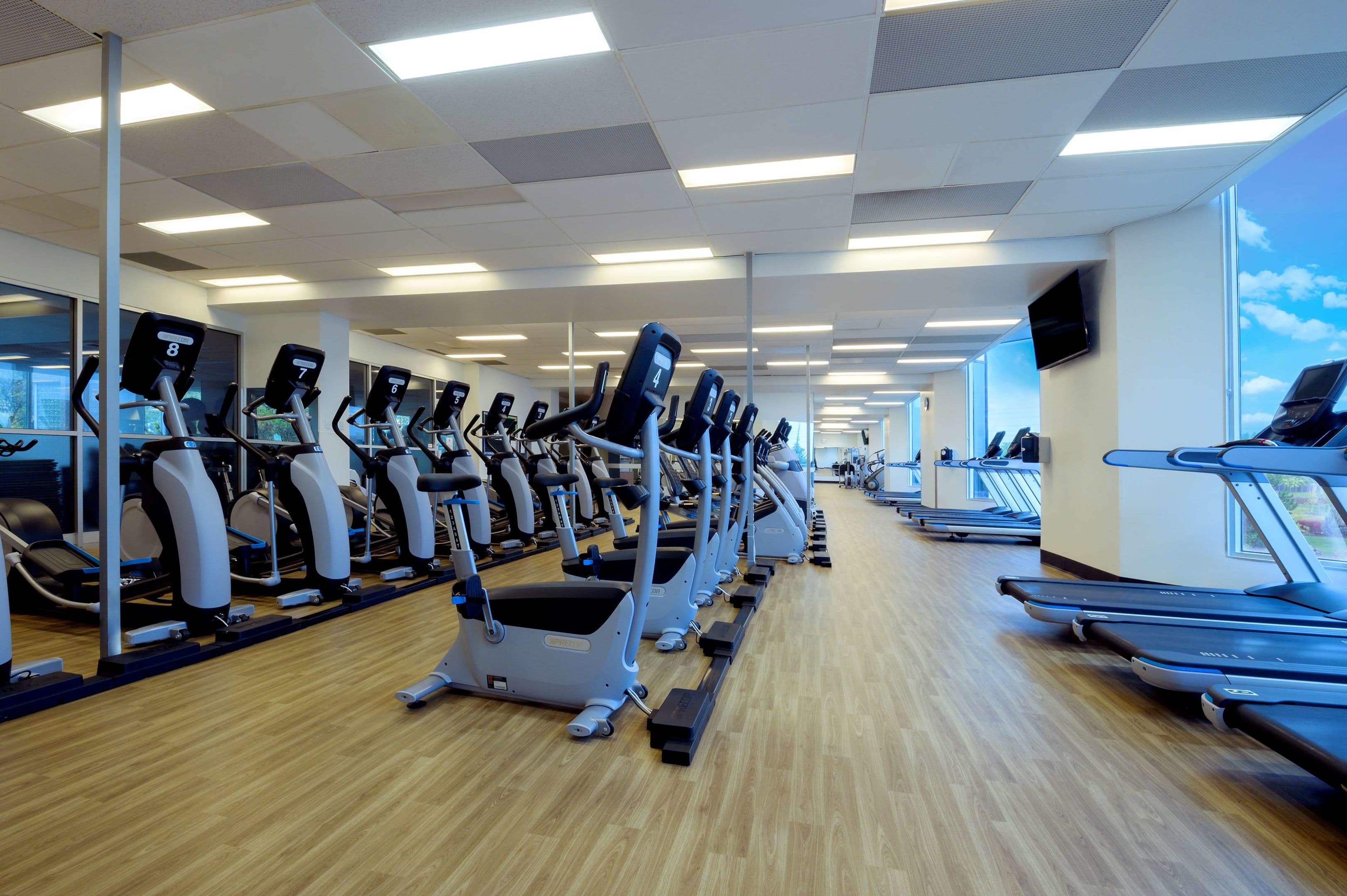 Sport & Leisure